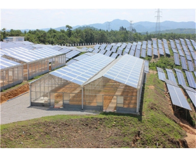 Giàn năng lượng mặt trời Trang trai (Farm)